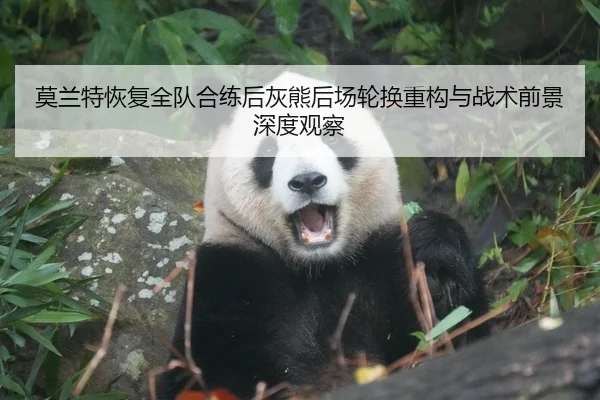 莫兰特恢复全队合练后灰熊后场轮换重构与战术前景深度观察